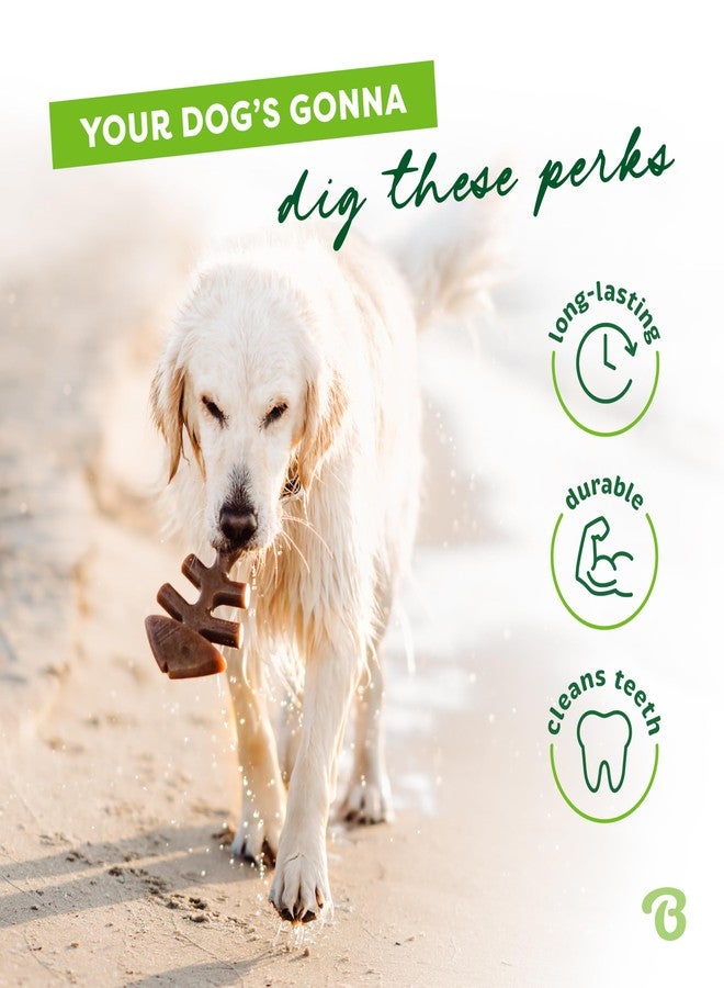 Benebone Fishbone Durable Dog Chew Toy for Aggressive Chewers, Real Fish, Made in USA, Medium - Image 3